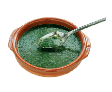 ملـوخيــة مخروطة